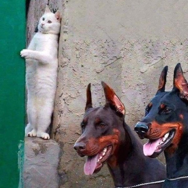 Thumbnail of p-dae8hzoym2g-913350b5ae83435e 7