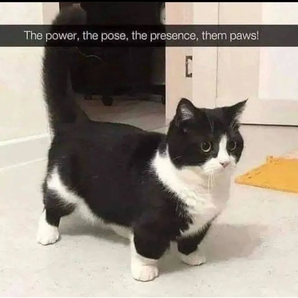 Thumbnail of p-chh0qsjpenb-913857912c4b4005 0