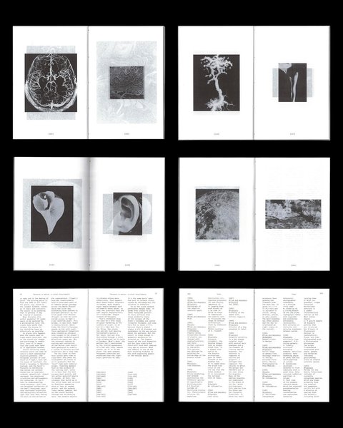 Thumbnail of p-dhdwphzclyk-913857c6981945aa 2