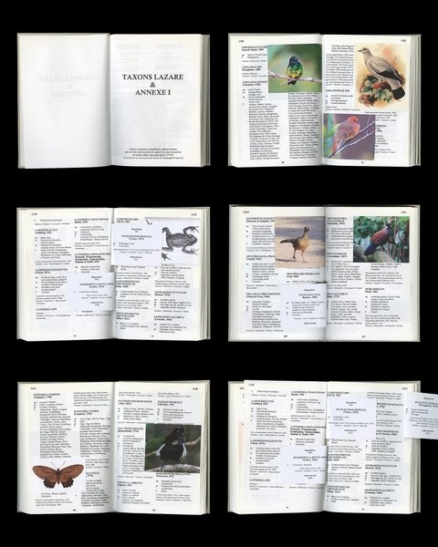 Thumbnail of p-dhdwphzclyk-913857c6981945aa 7