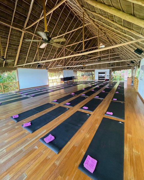 Thumbnail of p-cxhsy4dvw3t-916cddeb81a64aeb 1