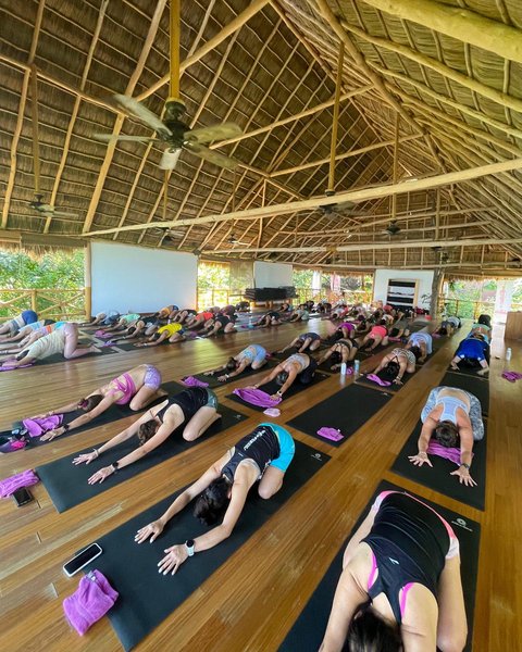 Thumbnail of p-cxhsy4dvw3t-916cddeb81a64aeb 2