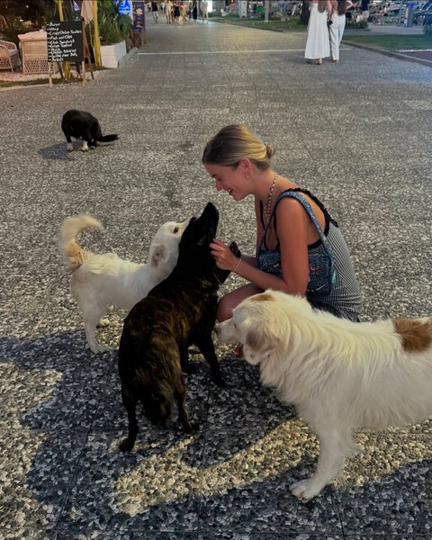 Thumbnail of bapdir9-h-91876ff563d842c5 2