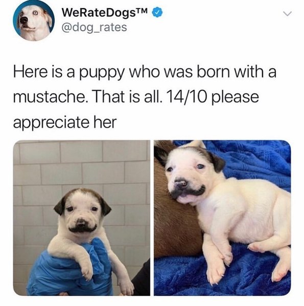 Thumbnail of p-b0zogb4jyfq-918bd82de1d146a0 0