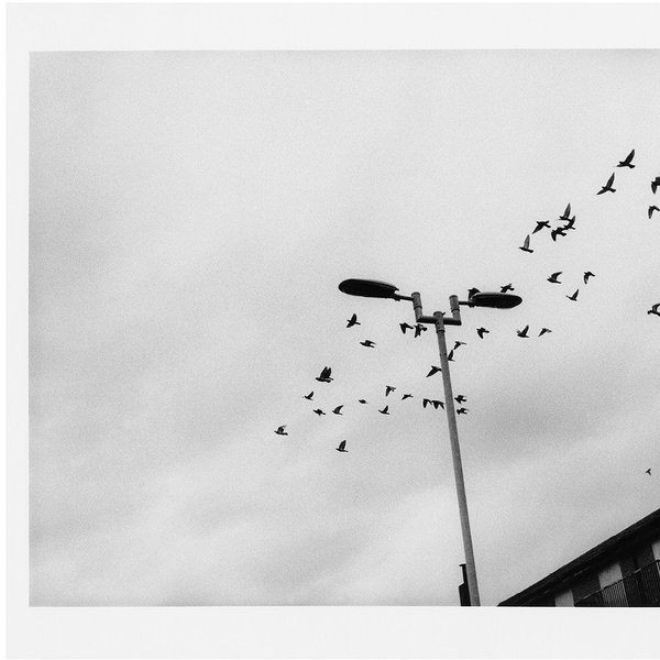 Thumbnail of p-cmzkvikgnpl-9192a3411d7e486c 3