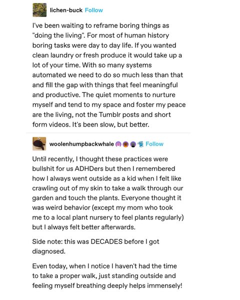 Thumbnail of p-dfgntz3pmlb-919b96592d334e4f 5