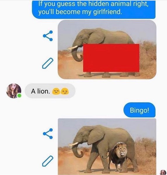 Thumbnail of p-bsxju9ifjc4-91a7ff3e06c048af 0