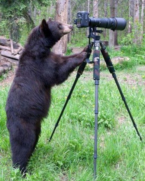 Thumbnail of p-cblybezanl3-91f493b35d544115 0