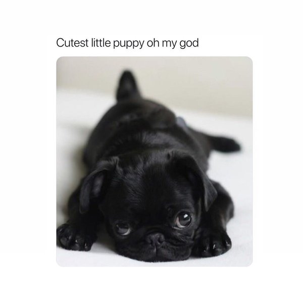 Thumbnail of p-borpdi2hnsp-91fa00f8429e4dee 0