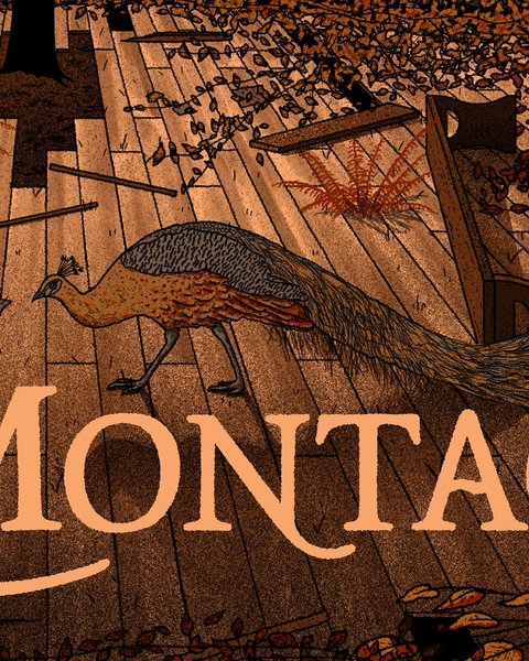 Thumbnail of p-bnhwuhfjqo7-921de83edbf0437e 1