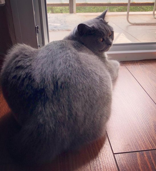 Thumbnail of p-bkxydmkjh4l-922bb5cb6b3d4b5a 0