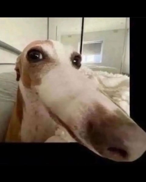 Thumbnail of p-czpghj6y1bn-923e4633f4d34962 9