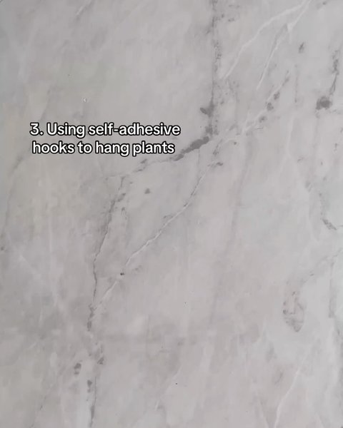 Thumbnail of p-dcmocmvtqqh-926a801515f34b1d 3