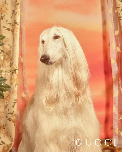 Thumbnail of p-berhnq3auat-9274bff5721f4c3f 0