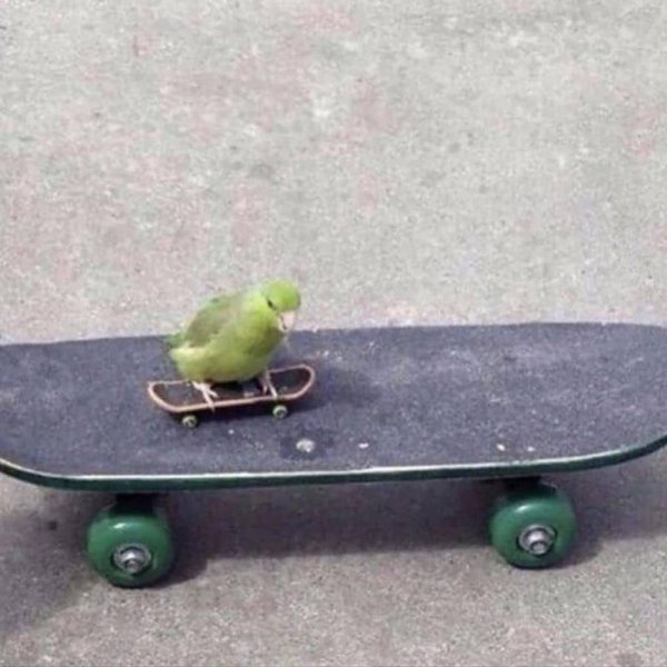 Thumbnail of p-cgfkqdqjorf-9285e76c521a4609 3