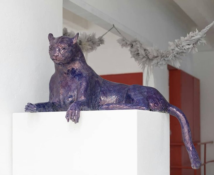 Thumbnail of p-cotgvi3lrih-92a04f1ca1dc4eea 5