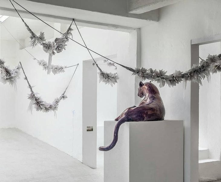 Thumbnail of p-cotgvi3lrih-92a04f1ca1dc4eea 8