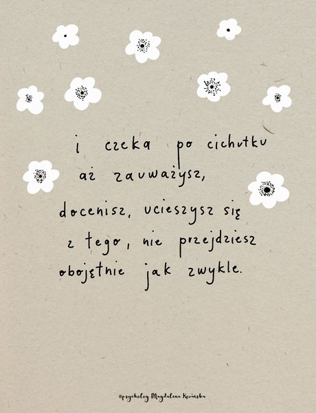 Thumbnail of p-doayt4ccbsg-92e31354efe844d1 2