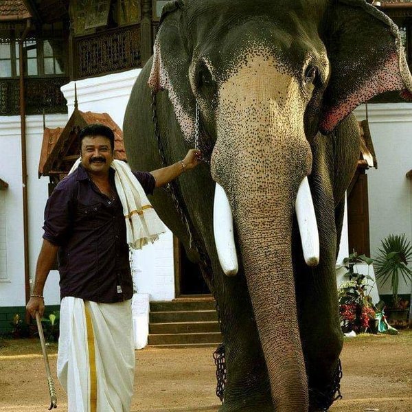 Thumbnail of p-brmqbmbb4id-92e7d03af2a74c61 0