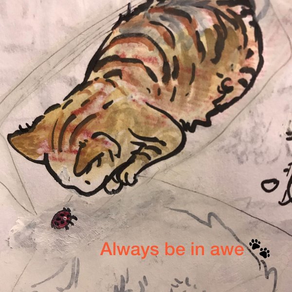 Thumbnail of p-ck8pnappdvp-92f4d3010ba748e7 0