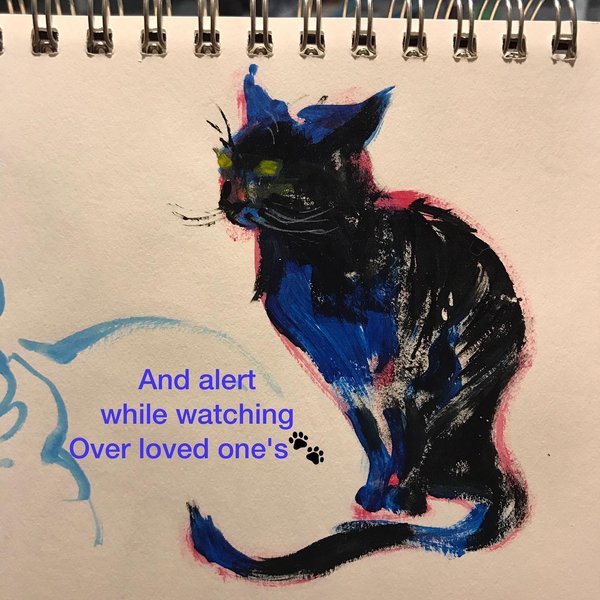 Thumbnail of p-ck8pnappdvp-92f4d3010ba748e7 3