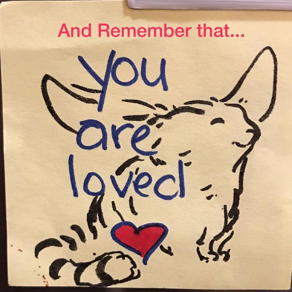 Thumbnail of p-ck8pnappdvp-92f4d3010ba748e7 4