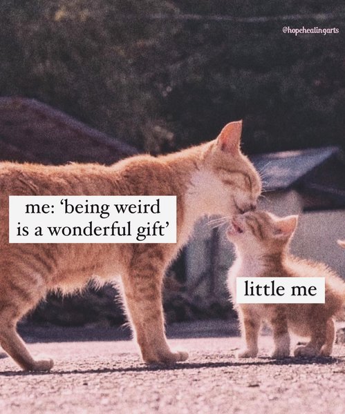 Thumbnail of p-cw2sb3aoewz-934018494b154f9a 2