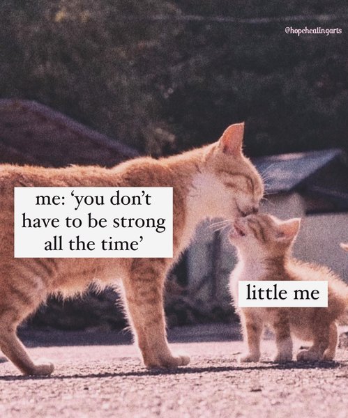 Thumbnail of p-cw2sb3aoewz-934018494b154f9a 6