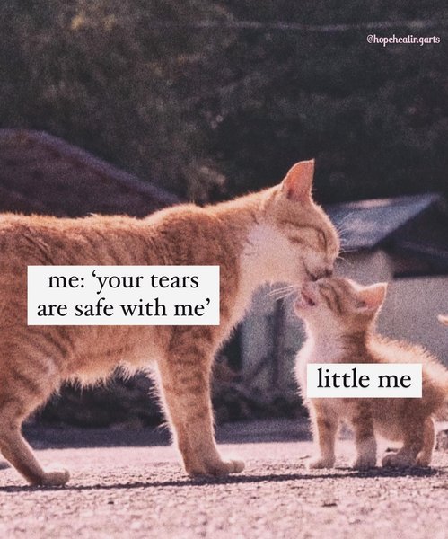 Thumbnail of p-cw2sb3aoewz-934018494b154f9a 7