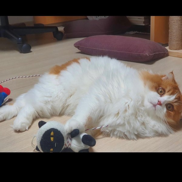 Thumbnail of tegrj-k-9356c249306f4e95 1