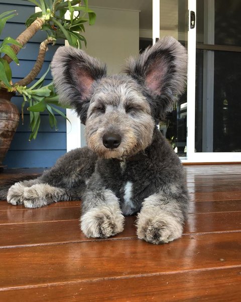 Thumbnail of p-b3tvsjfh72o-93a62d458f6c43e2 0