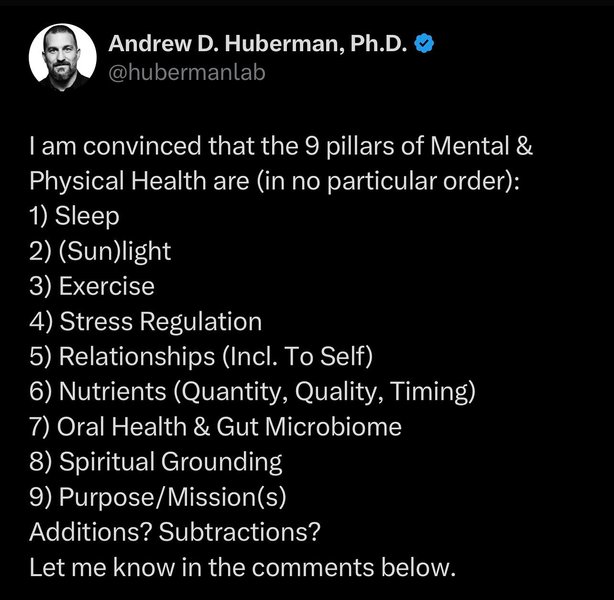 Thumbnail of p-c23ewmfp1jk-93cdb6f149aa44ba 0