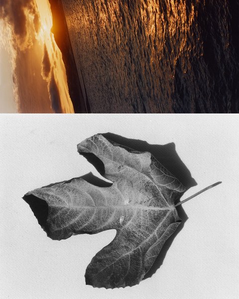 Thumbnail of p-dqu03jfcolt-940805868a7e4203 8