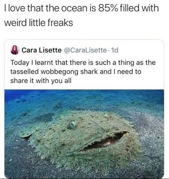 Thumbnail of p-c3brmxsuu9j-94098901ee68441e 0