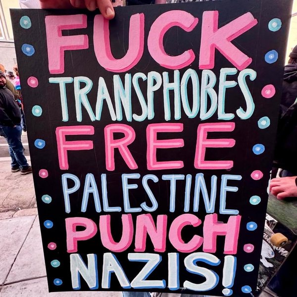 Thumbnail of p-dg3nqneyxfa-9431746333d545da 0