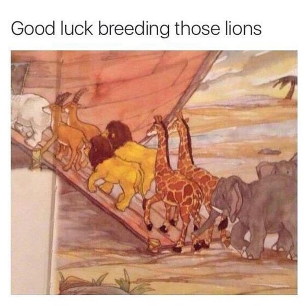 Thumbnail of p-bot7zrgfdsx-943ebe76c67241d3 0