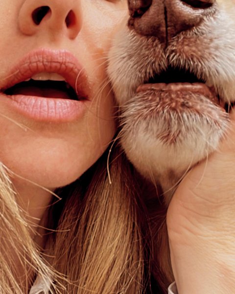 Thumbnail of p-cqllcjpudfs-947906c5d73c4cb8 0