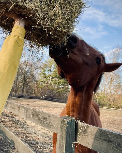 Thumbnail of p-cqllcjpudfs-947906c5d73c4cb8 5