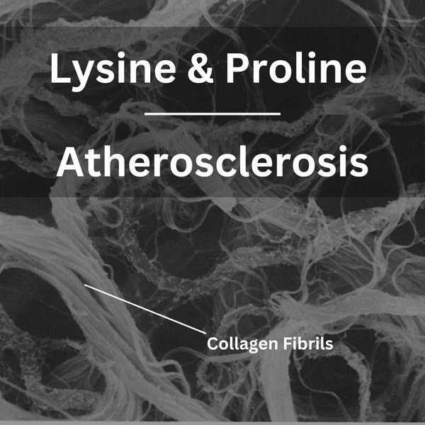 Thumbnail of ct-uvqzox13-947eedd95fbb45a4 0