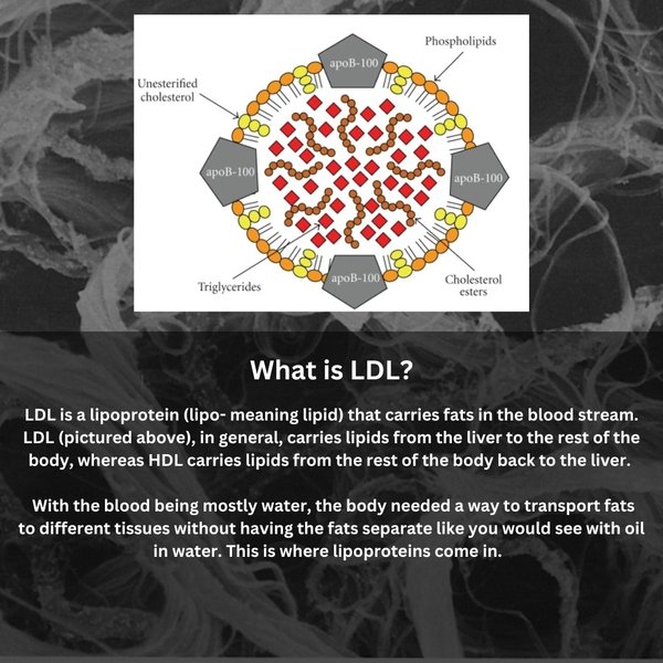 Thumbnail of ct-uvqzox13-947eedd95fbb45a4 3