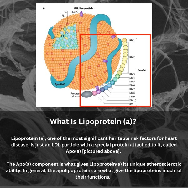 Thumbnail of ct-uvqzox13-947eedd95fbb45a4 4