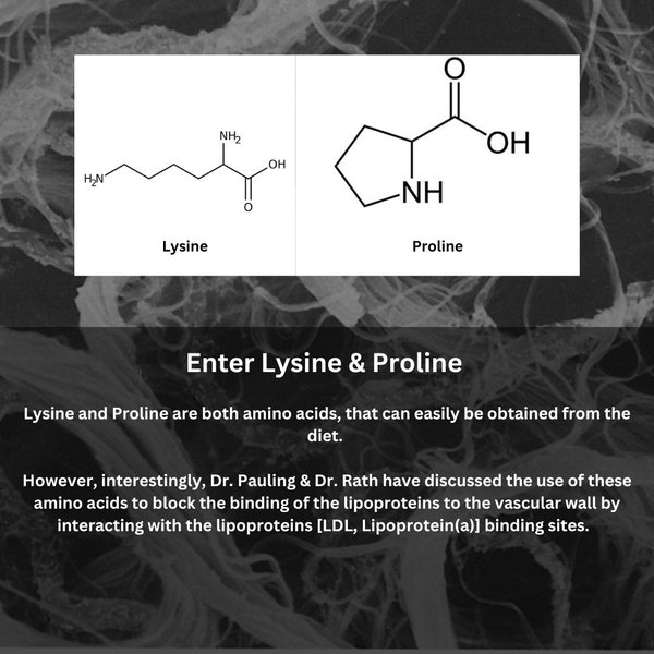 Thumbnail of ct-uvqzox13-947eedd95fbb45a4 7