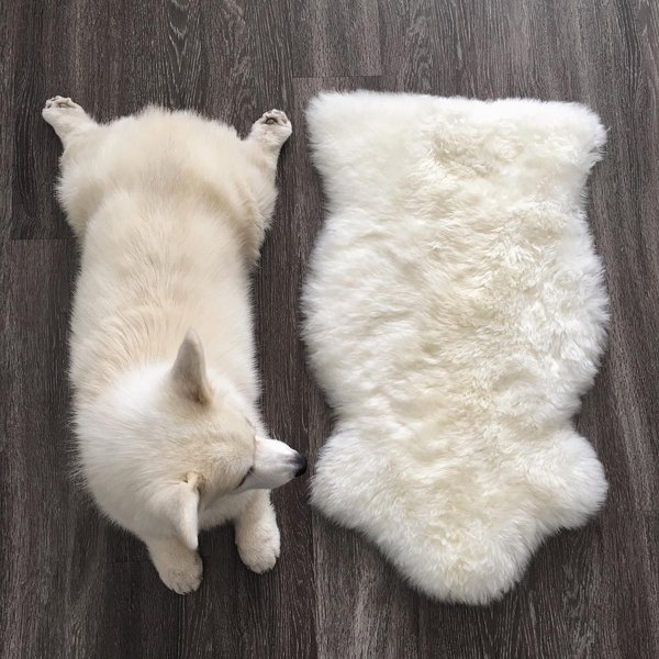 Thumbnail of brcgiv3j-ps-947fe12c97704c4d 0