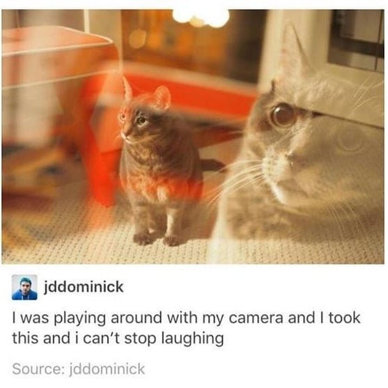 Thumbnail of b5dggucjb-s-94e8a0fe53174392 0