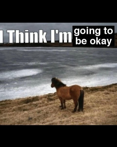 Thumbnail of p-c1dlffzyn4n-94f4109a4c4c47d3 8