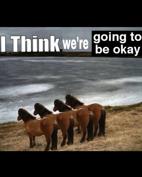 Thumbnail of p-c1dlffzyn4n-94f4109a4c4c47d3 9