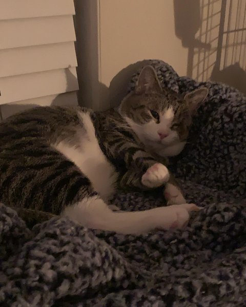 Thumbnail of cjujtf7a-9r-955ff1ab942542e5 4