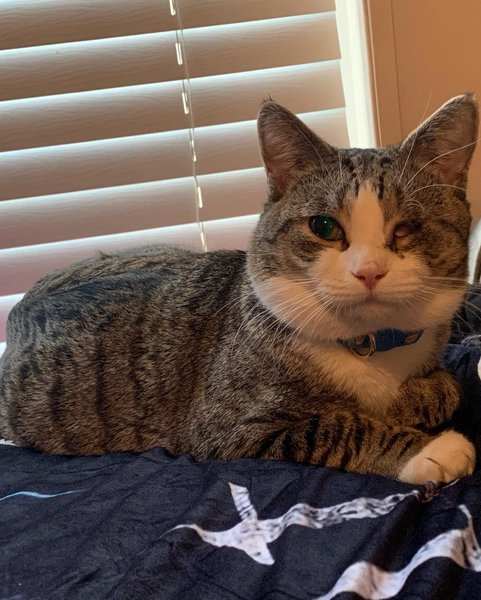 Thumbnail of cjujtf7a-9r-955ff1ab942542e5 5