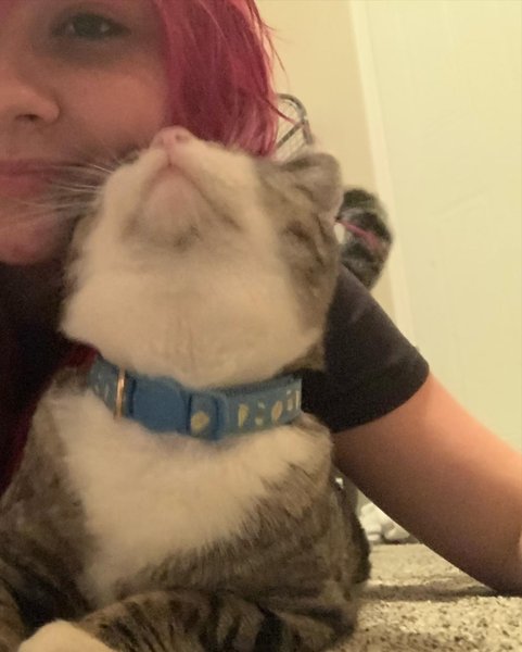 Thumbnail of cjujtf7a-9r-955ff1ab942542e5 7