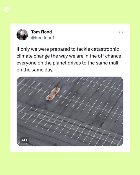 Thumbnail of p-cyeljy9p5ey-9579fc038b3d43ed 3